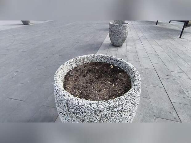 В пустые клумбы на Театральной площади высадят цветы