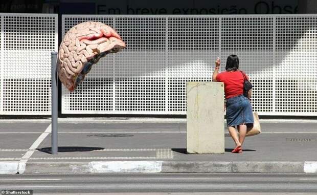 Телефонная будка в виде мозга - детище бразильского художницы Карлы Пирес де Карвалью Фернандес бывает и такое, городские пейзажи, необычные вещи, общественные места, проекты, телефонная будка, телефонные будки, урбанистика