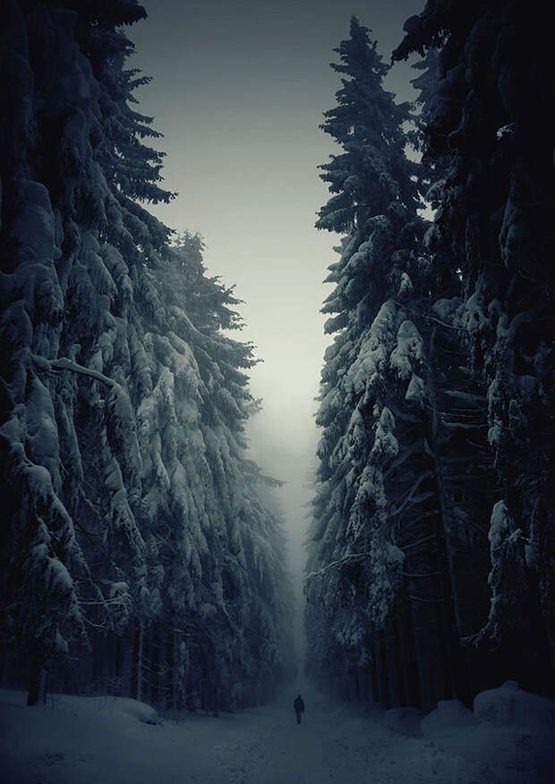 gorgeous-winter-landscapes-1.jpg