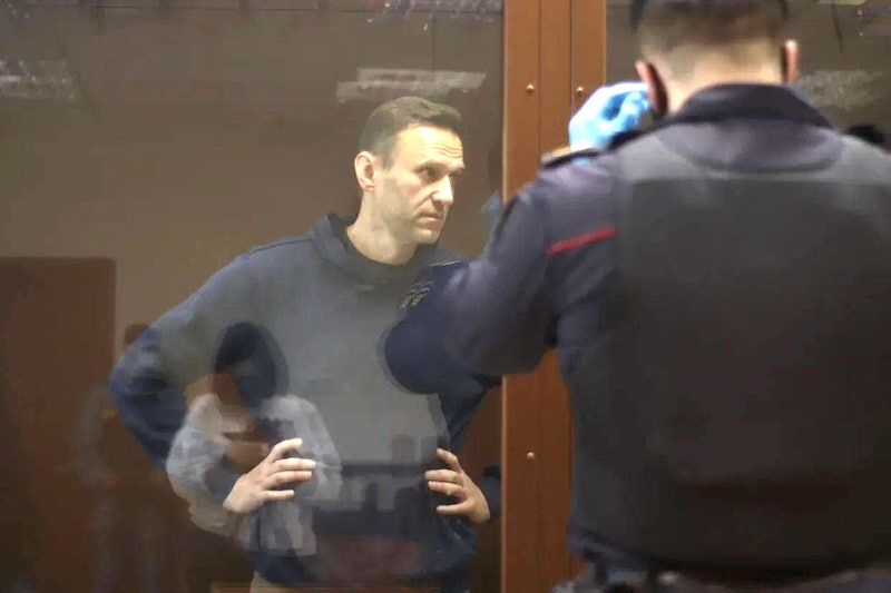 Полная деградация Навального и его окружения Полная деградация Навального и его окружения