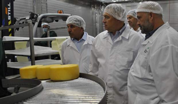 В Ростовской области стали массово производить сливочное масло