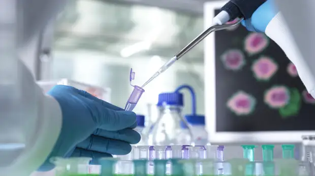 Защита от радикалов: российские учёные создали наночастицы для лечения печени и профилактики отравлений