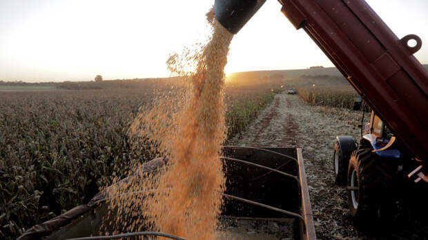 Скрытый смысл зерновой сделки: Россия сделала свою ставку
