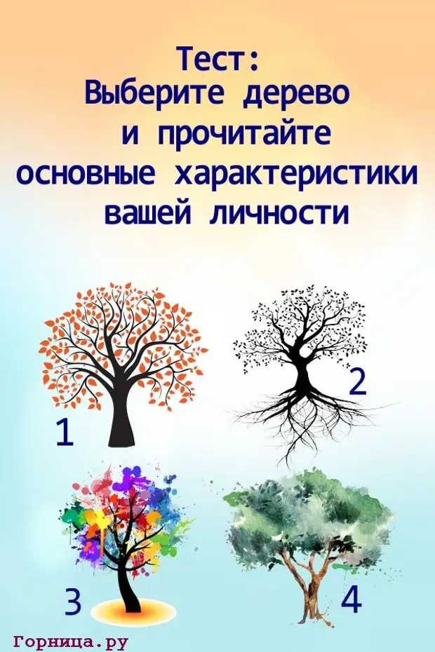 Выбирайте дерево и живите. Тест. Тест выбери дерево. Психологические тесты. Психологический тест с выбором деревьев.