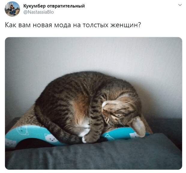 Как вам новая мода на толстых женщин?