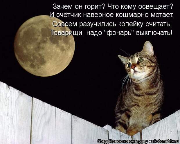 Котоматрица: Зачем он горит? Что кому освещает? И счётчик наверное кошмарно мотает. Совсем разучились копейку считать! Товарищи, надо "фонарь" выключать!