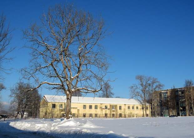 Гагарин. Часть 1: Гжатск путешествия, факты, фото