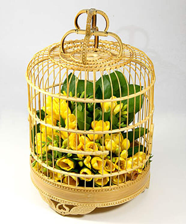 Цветочные Bird Cage фрезия