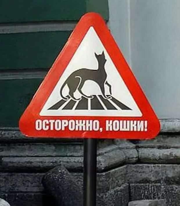 Предупреждающие таблички. Прикольные. Подборкаchert-poberi-tablichki-15430901072020-8 картинка chert-poberi-tablichki-15430901072020-8