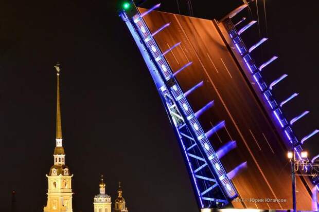 Волшебная красота мостов Петербурга (14 фото)
