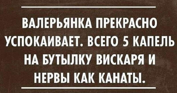 Подборка метких высказываний, которые подарят вам позитивный настрой