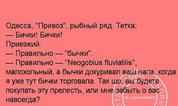 Значение слова малохольный. Анекдот.