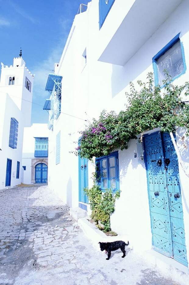 Бело-голубой рай Туниса.