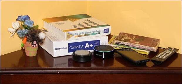 An Echo and Echo button on a nightstand near cellphone, books, and a plant.