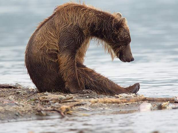 National Geographic: лучшие фотографии января