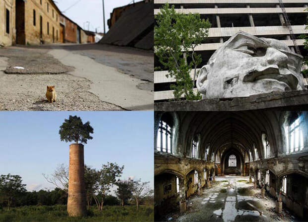 Мир без людей