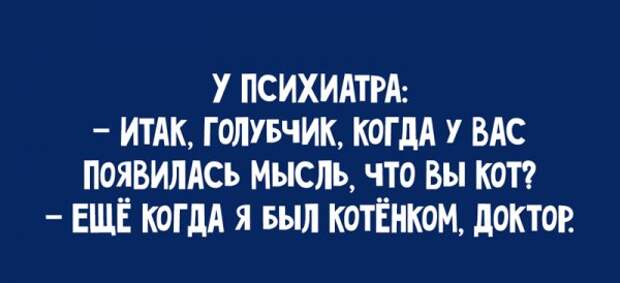 Легкий юмор для поднятия настроения