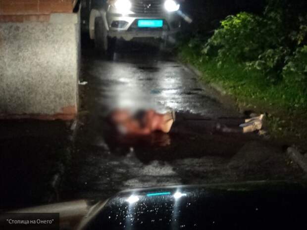 В Петрозаводске убили студентку медицинского колледжа