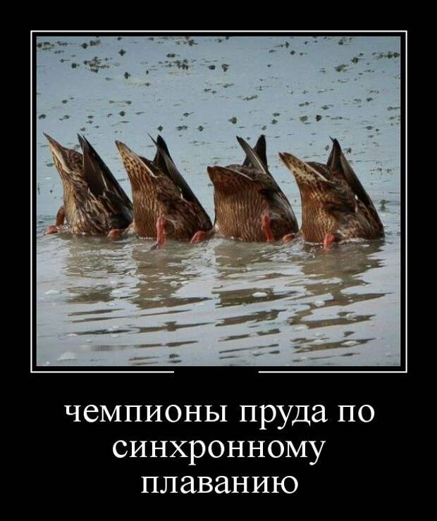 Демотиваторы (30 фото)
