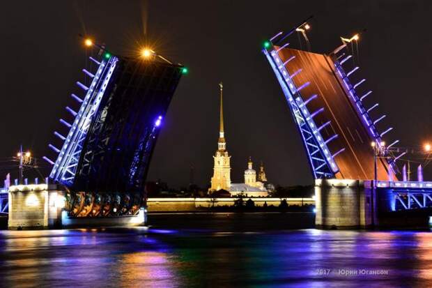 Волшебная красота мостов Петербурга (14 фото)