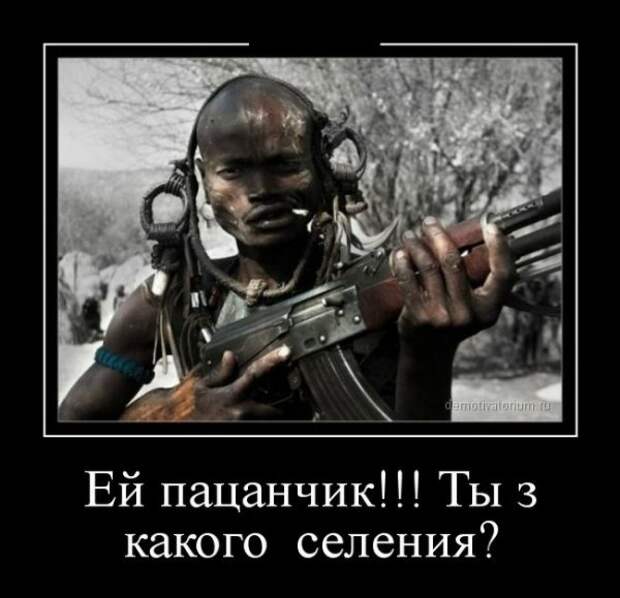 Обо всём.