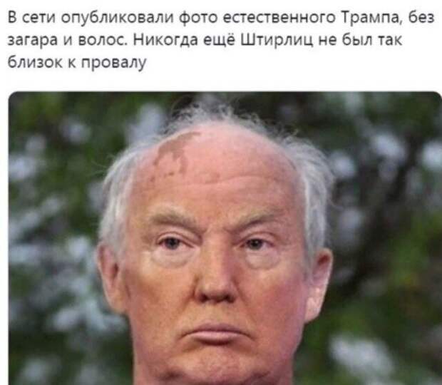 Политические картинки