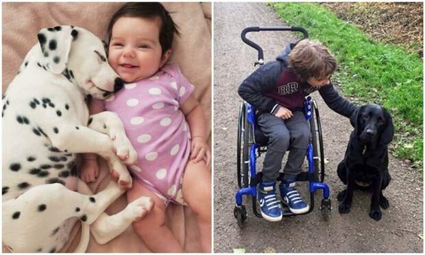 Собака — лучший друг для ребенка