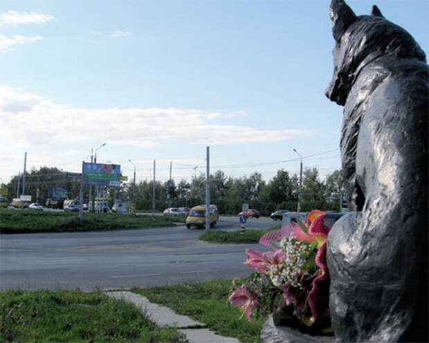 Памятник преданности. г. Тольятти. тольятти, памятник, овчарка