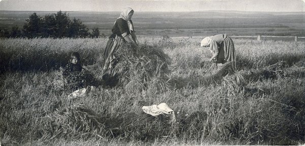 Русская деревня начала XX века на старых фотографиях.