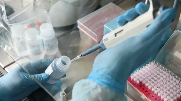 В Хабаровском крае планируют увеличить количество тестов на COVID-19