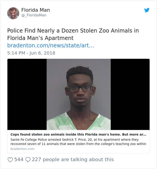 Florida-Man-Headings