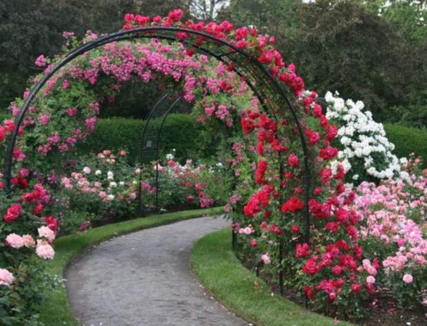 Красивые арки для сада из цветов