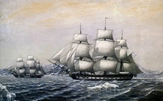 «Континент российского лидерства»: как Антарктида стала территорией мирного сотрудничества и науки