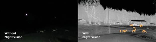 Почему приборы ночного видения не полностью бесполезны