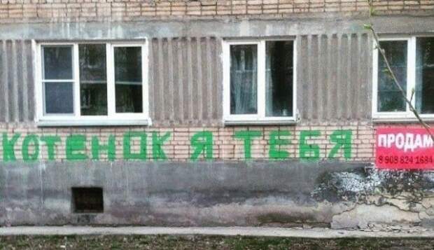Забавные и странные объявления с наших улиц (22 фото)
