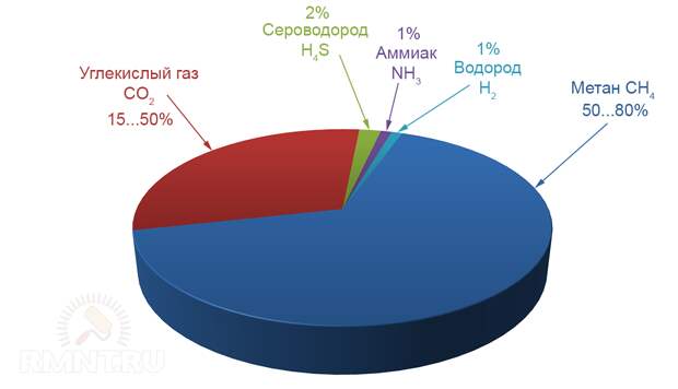 Химический состав биогаза