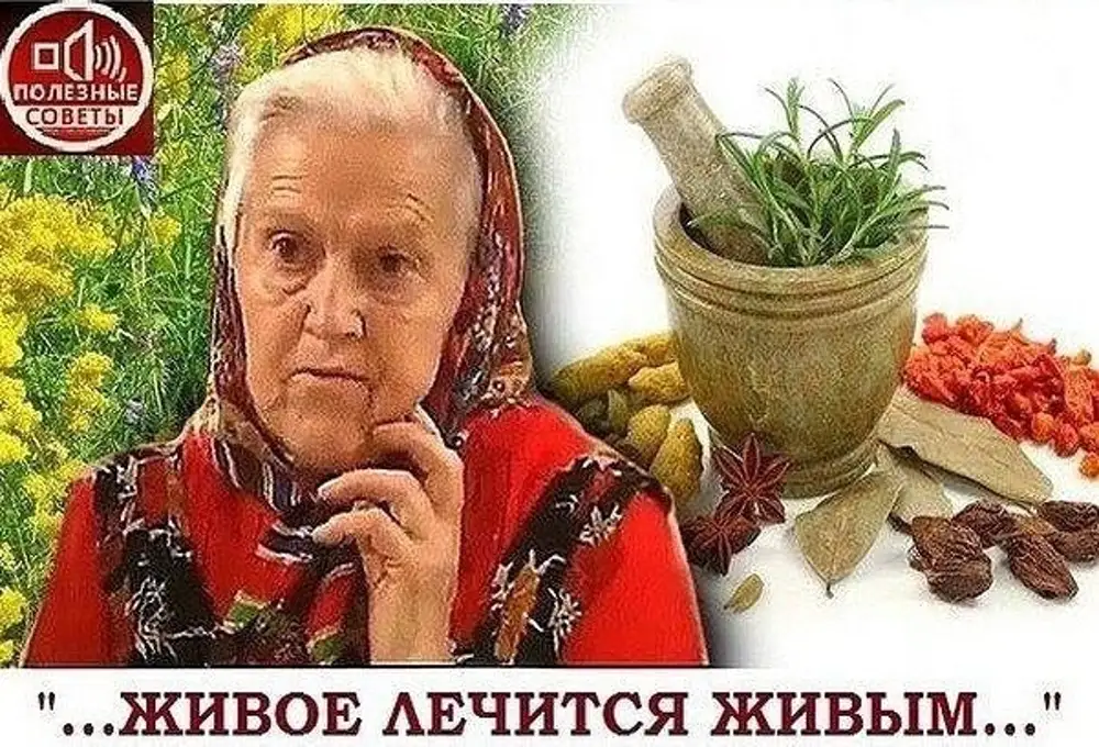 Где Купить Книги Зайцевой Монастырская Травница