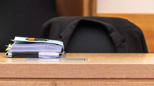 ПРОНЬКО ФИЛИГРАННО ПОКАЗАЛ, КАК ЧИНОВНИКИ УПОРНО "НАСТУПАЮТ НА ГРАБЛИ"