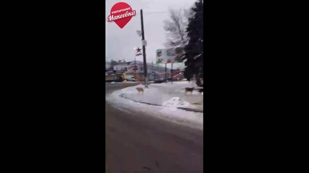 Макеевка, Червоногввадейский исполком. Не Макеевка, а Сабакеевка