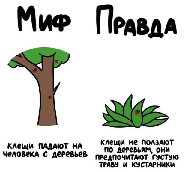 Интересные короткие факты на все случаи жизни