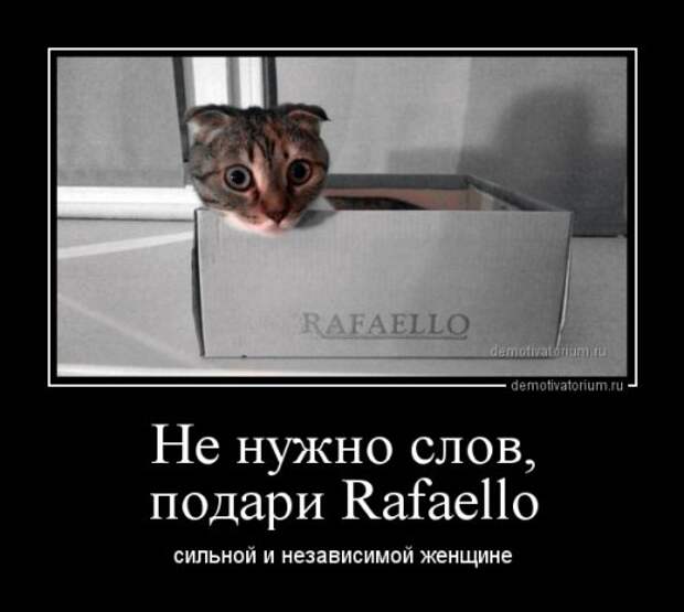 Свежие демотиваторы (16 шт)
