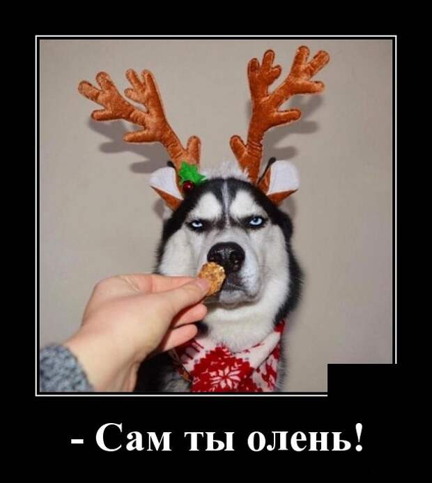Демотиваторы (30 фото)