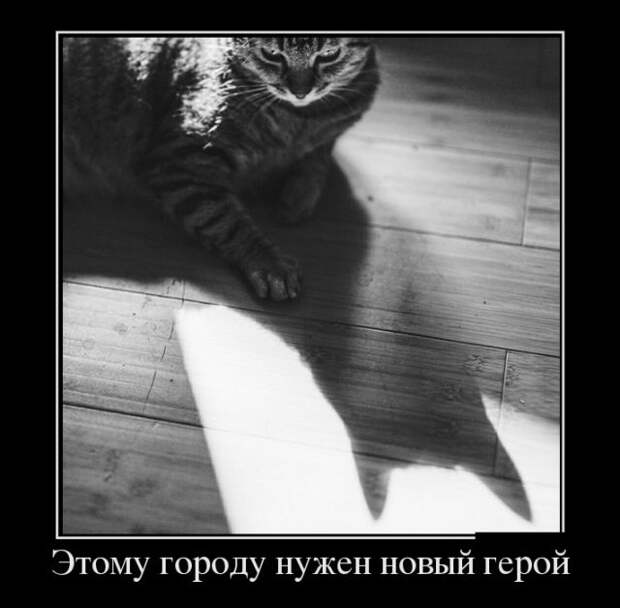 Демотиваторы