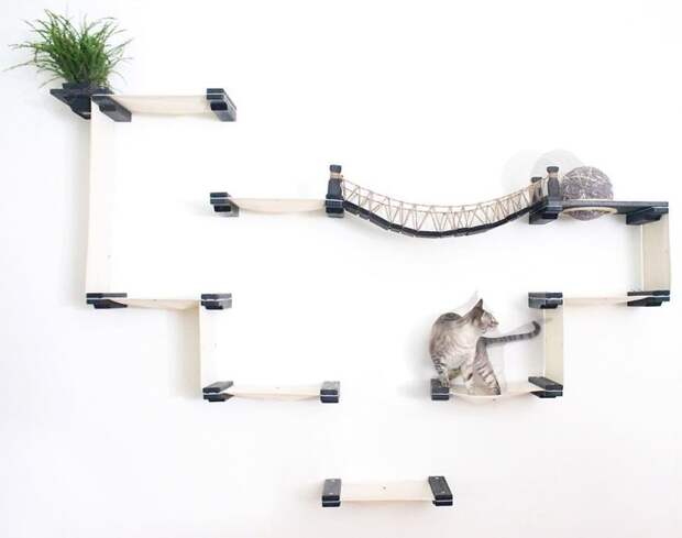 Любящие хозяева смастерили мост для кота в стиле Индианы Джонса бизнес, идея, индиана джонс, котики, мебель, мост, своими руками, стена