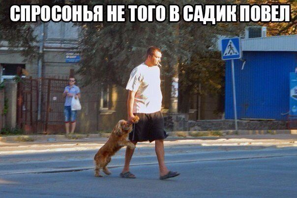 Смехотерапия Писца. Класс!
