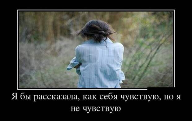 Демотиваторы (30 фото)