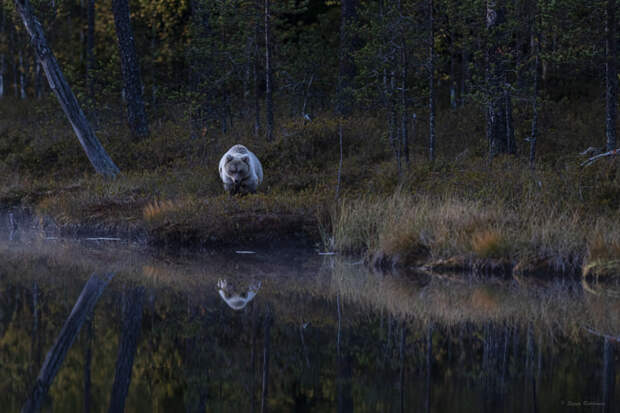 Silence wanderer by Seppo Rokkanen on 500px.com