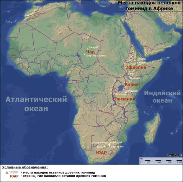 Страна бегунов, леопардов и голландских роз: интересные факты о Кении