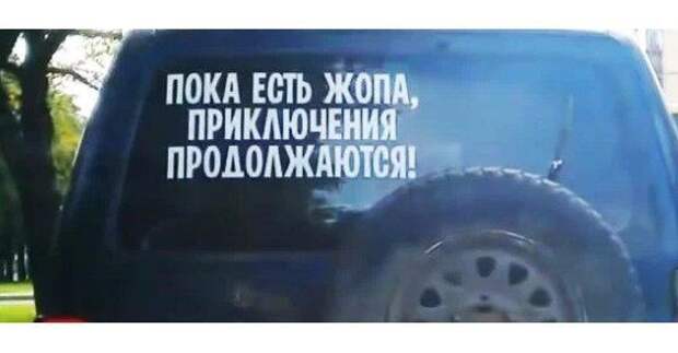 181703_13_trinixy_ru.jpg