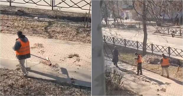 Химкинские дворники сыграли с листьями в игру «до и после»
